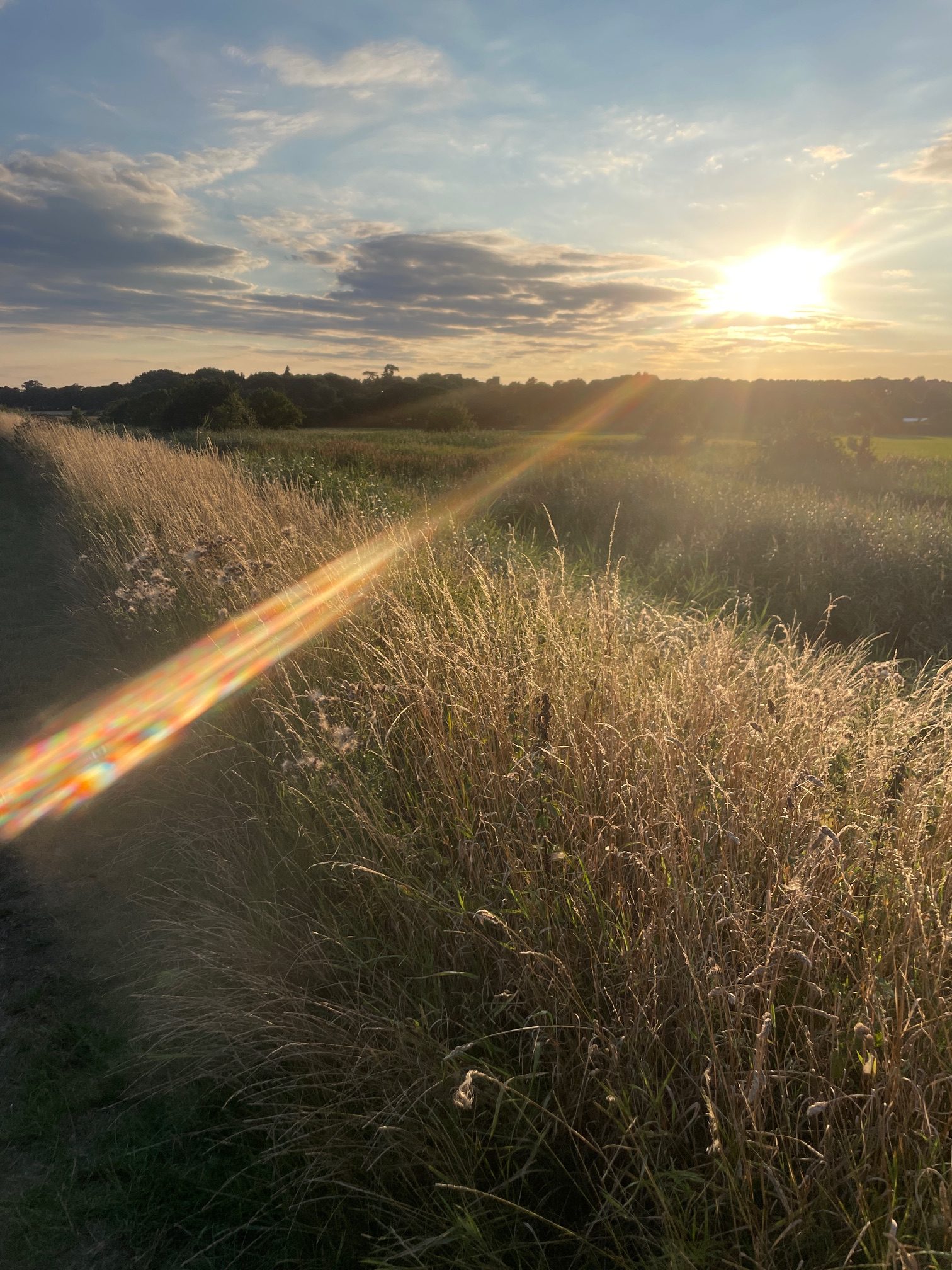 Basic Sanity: Returning To What’s Already Here