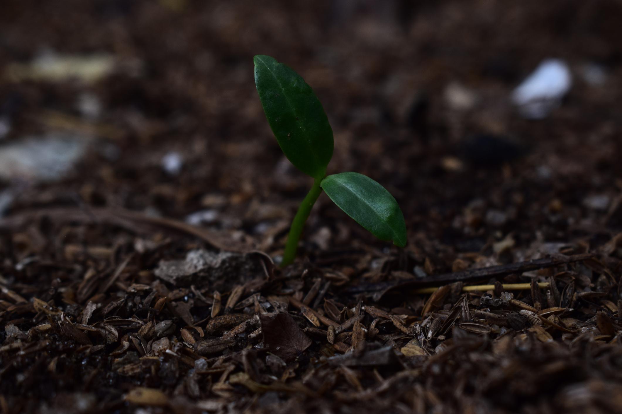 The millimetres mean more than the miles